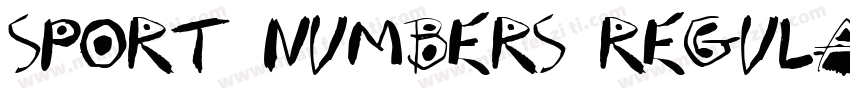 Sport Numbers Regula字体转换